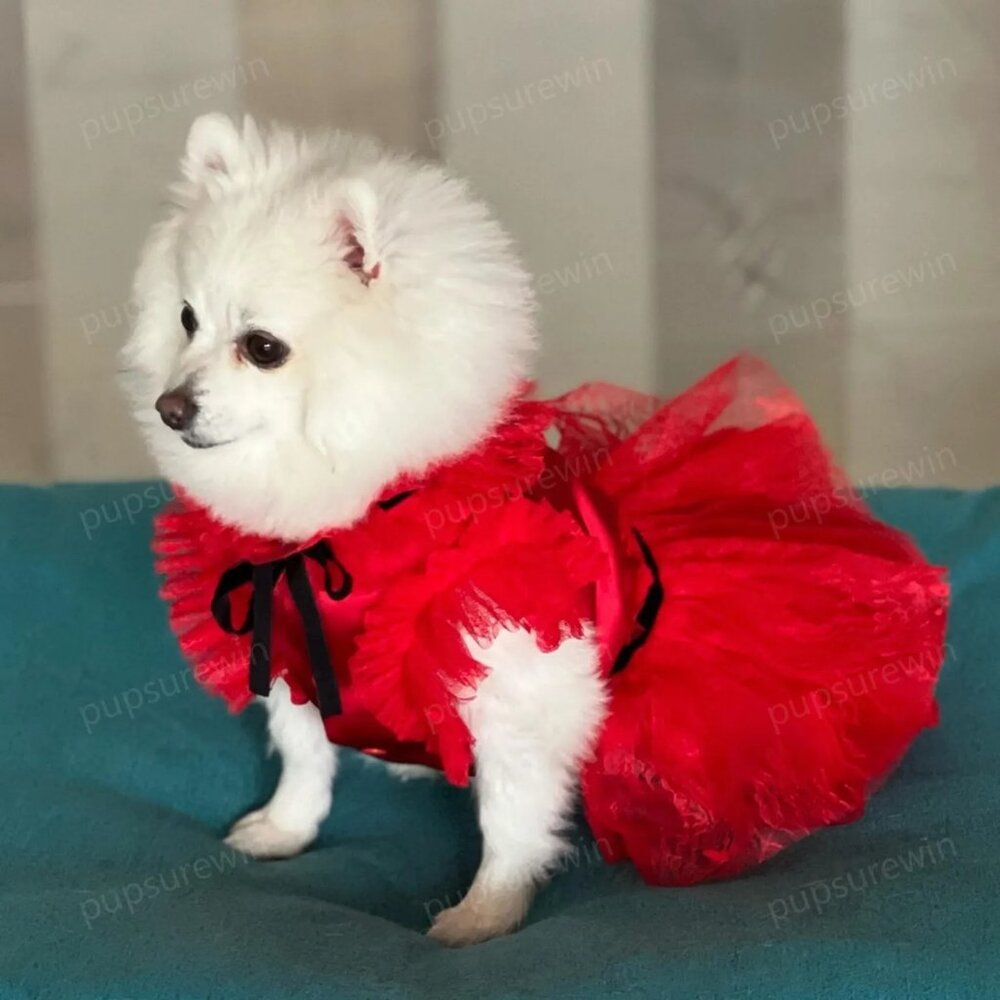 Beetlejuice Lydia Deetz Cat Dog Pet Costume Red Lace Tulle Dress